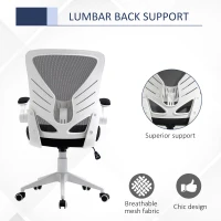 Vinsetto Mid-Back Mesh Home Office Chair Computer Task Ergonomic Desk Chair with Lumbar Back Support, Flip-Up Arm, and Adjustable Height, Grey(m-7)