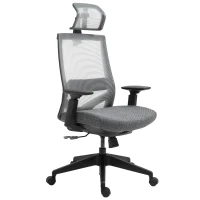 Vinsetto Mesh Fabric Home Office Task Chair with High Back, Adjustable Seat, Recline, Headrest and Lumbar Support, Grey(m-11)