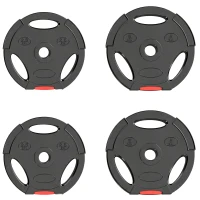Soozier 1-Inch Weight Plates, Barbell Weights Set for Weightlifting and Strength Training, 2 x 11lbs + 2 x 5.5lbs(m-12)