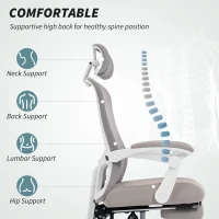 HOMCOM Ergonomic Office Chair, Mesh Reclining Desk Chair with Adjustable Lumbar Support, Headrest, Grey(m-4)