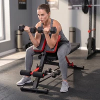 Soozier Adjustable Hyper Extension Dumbbell Weight Bench, Foam Leg Holders, Exercise Abs, Arms, Core, Strength Workout Station for Home Gym, Red(m-2)