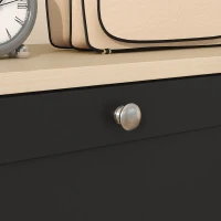HOMCOM Modern Shoe Storage Cabinet with 3 Flip Drawers and Adjustable Shelves for 12-18 Pairs of Shoes, Black(m-9)