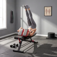 Soozier Adjustable Hyper Extension Dumbbell Weight Bench, Foam Leg Holders, Exercise Abs, Arms, Core, Strength Workout Station for Home Gym, Red(m-9)