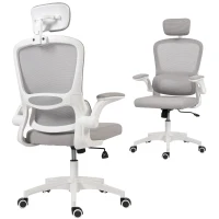 HOMCOM Ergonomic Mesh Office Chair, High Back Desk Chair with Rotatable Headrest, Flip-Up Armrests, Lumbar Support, Grey(m-9)