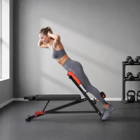 Soozier Adjustable Hyper Extension Dumbbell Weight Bench, Foam Leg Holders, Exercise Abs, Arms, Core, Strength Workout Station for Home Gym, Red(m-8)