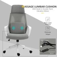 Vinsetto Ergonomic Home Office Mesh Desk Chairs, Computer Task Chair with Massage Lumbar Cushion, Adjustable Seat & Headrest,  Rocking Function, Grey(m-6)