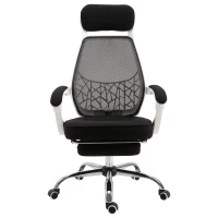 Vinsetto Ergonomic High Back Mesh Office Chair Swivel Reclining Computer Desk Chair with Retractable Footrest, Headrest, Padded Armrest(m-10)