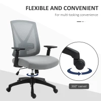 Vinsetto Ergonomic Mesh Office Chair with Lumbar Back Support, Swivel Rocking Computer Chair with Adjustable Height and Armrests for Home Office, Grey(m-15)