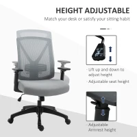 Vinsetto Ergonomic Mesh Office Chair with Lumbar Back Support, Swivel Rocking Computer Chair with Adjustable Height and Armrests for Home Office, Grey(m-12)