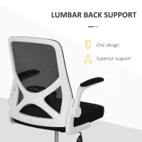 Vinsetto Ergonomic Mesh Office Chair Rocking Swivel Computer Task Desk Chair with Folding Backrest, Lumbar Support, Flip-up Arms and Adjustable Height, Black(m-20)