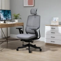 Vinsetto High Back Ergonomic Mesh Office Chair with Adjustable Height, Armrests, Lumbar Support and Headrest, Grey/Black(m-15)