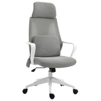 Vinsetto Ergonomic Home Office Mesh Desk Chairs, Computer Task Chair with Massage Lumbar Cushion, Adjustable Seat & Headrest,  Rocking Function, Grey(m-1)
