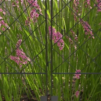 Outsunny 7 Pack Garden Fencing for Yard, Decorative Fence Panels as Flower Edging, Black(m-7)
