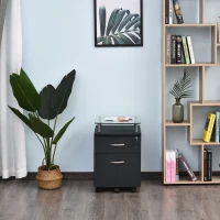 HOMCOM 2 Drawer Filing Cabinet with Lock, Vertical File Cabinet with Wheels, Mobile Office Cabinet for Letter, A4 Size Files, Black(m-8)