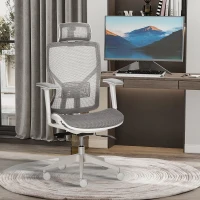 Vinsetto Ergonomic Office Chair with 360° , Wheel, Mesh Back, Adjustable Height & 3D Armrest for Home Office, Grey(m-8)