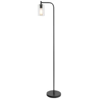 HOMCOM Modern Stylish Tall Pole Floor Lamp, Land Light with Metal Base, Cylindrical Shaped Glass Shade, Black(m-17)