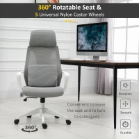 Vinsetto Ergonomic Home Office Mesh Desk Chairs, Computer Task Chair with Massage Lumbar Cushion, Adjustable Seat & Headrest,  Rocking Function, Grey(m-8)