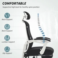 HOMCOM Ergonomic Office Chair, Mesh Reclining Desk Chair with Adjustable Lumbar Support, Headrest, Black(m-4)