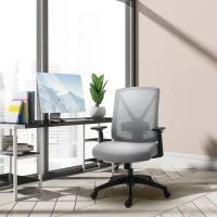 Vinsetto Ergonomic Mesh Office Chair with Lumbar Back Support, Swivel Rocking Computer Chair with Adjustable Height and Armrests for Home Office, Grey(m-18)