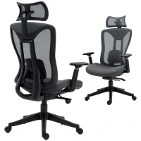 Vinsetto Ergonomic Office Chair with Adjustable Headrest, Lumbar Support, 3D Armrest, Mesh Computer Desk Chair with High Back, Swivel Reclining Seat with Tilt Function, Grey(m-9)
