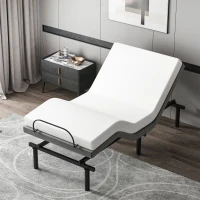 HOMCOM Twin XL Adjustable Bed Frame, Ergonomic Zero Gravity Power Bed Base with Head and Foot Incline, Memory, and Wireless Remote, Gray(m-2)