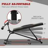 Soozier Multifunctional Sit Up and Dumbbell Weight Bench with 4-Angle Adjustable Backrest & Lightweight Portable Design - Black(m-5)