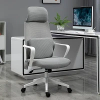 Vinsetto Ergonomic Home Office Mesh Desk Chairs, Computer Task Chair with Massage Lumbar Cushion, Adjustable Seat & Headrest,  Rocking Function, Grey(m-3)