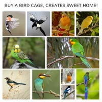 PawHut 60" Wooden Outdoor Bird Cage for Finches, Parakeet, Large Bird Cage with Removable Bottom Tray 4 Perch, Light Gray(m-8)