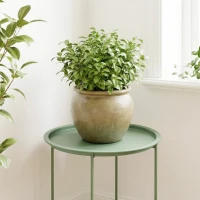 Outsunny 18" Outdoor Side Table with Removable Tray and Folding Legs, Indoor Outdoor for Balcony, Porch, Green(m-10)