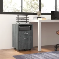 Vinsetto Small Filing Cabinet with 2 Drawers, Lockable Home Office Storage Cabinets on Wheels for A4, Letter Size, Grey(m-8)
