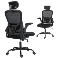 HOMCOM Ergonomic Office Chair, Mesh Desk Chair with Adjustable Headrest, Lumbar Support and Height, Flip-Up Armrests, Black(m-9)