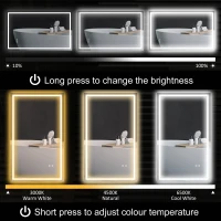 HOMCOM 39" x 24" Bathroom Mirror with LED Lights, Wall Mounted Vanity Mirror with Anti-Fog Pad and Touch Button, Clear(m-4)