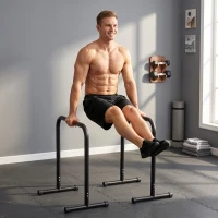 Soozier Set of 2 Dip Bar, Dip Station Push Up Station for Full Body Strength Training Home Gym Black(m-1)