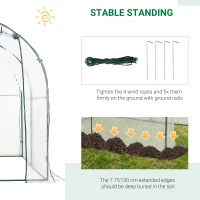Outsunny Dome Tunnel Greenhouse Plant Shed with Roll Up Door, 6.6' x 8.2' x 6.6', Transparent(m-5)