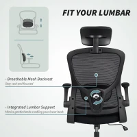 HOMCOM Ergonomic Office Chair, Mesh Desk Chair with Adjustable Headrest, Lumbar Support and Height, Flip-Up Armrests, Black(m-5)