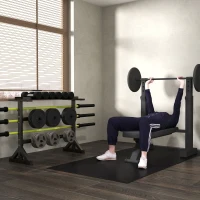Soozier 1100LBS Capacity Weight Rack, Weight Plate Rack, and Dumbbell Rack for Home Gym Storage(m-8)