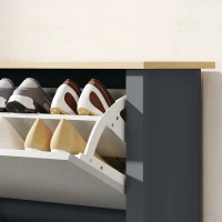 HOMCOM Shoe Storage Cabinet with 2 Flip Drawers and Adjustable Shelves for 8–12 Pairs of Shoes, Dark Grey(m-12)