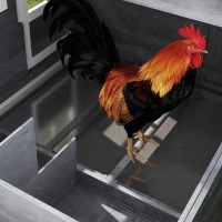 PawHut 82" Chicken Coop Wooden Hen House Rabbit Hutch Poultry Cage Pen Outdoor Backyard with Nesting Box and Run, Grey(m-9)
