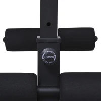 Soozier Adjustable Weight Bench, Sit Up Dumbbell Bench, Multi-Functional Purpose Hyper Extension Workout Bench with Adjustable Seat and Back Angle(m-9)