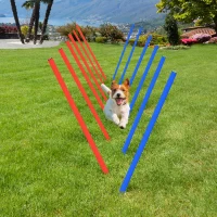 PawHut Dog Agility Equipment Set, Portable Dog Agility training equipment for Outdoor Play Run(m-7)