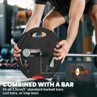 Soozier 1-Inch Weight Plates, Barbell Weights Set for Weightlifting and Strength Training, 2 x 22lbs + 2 x 11lbs(m-5)