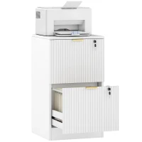 HOMCOM Lockable Filing Cabinet with 2 Fluted Drawers, File Cabinet with Adjustable Hanging Rails for A4 Letter Files, White(m-9)