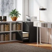 HOMCOM Lockable Filing Cabinet with 2 Fluted Drawers, File Cabinet with Adjustable Hanging Rails for A4 Letter Files, Black(m-8)