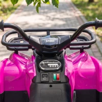Qaba 24V Ride on ATV, 4 Wheeler for Kids with Dual Motors, Soft Start, Battery Display, Music, Lights for 3-8 Years, Pink(m-8)