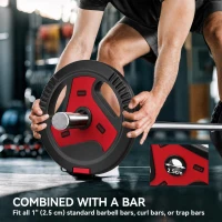 Soozier 66 lbs Weight Plates Set, 4-Piece Sand-Filled Plates with Handles, 1" Hole, Black and Red(m-5)