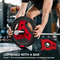 Soozier 88 lbs Weight Plates Set, 6-Piece Sand-Filled Standard Plates with Handles and 1" Centre Hole, Black and Red(m-5)