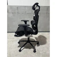 HOMCOM Ergonomic Office Chair with Lumbar Support, 2D Headrest, Mesh Reclining Desk Chair with Footrest, Swivel Wheels, Black(m-1)