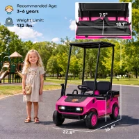 Qaba 24V Kids Golf Cart 2WD 2-Seater with Remote, Soft Start, Rear Suspension, Sunshade, Storage, Gift for 3-6 Years, Pink(m-3)