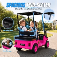 Qaba 24V Kids Golf Cart 2WD 2-Seater with Remote, Soft Start, Rear Suspension, Sunshade, Storage, Gift for 3-6 Years, Pink(m-5)