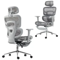 HOMCOM Ergonomic Office Chair with Lumbar Support, 2D Headrest, Mesh Reclining Desk Chair with Footrest, Swivel Wheels, Grey(m-13)